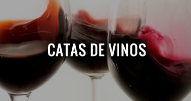 Catas de vinos