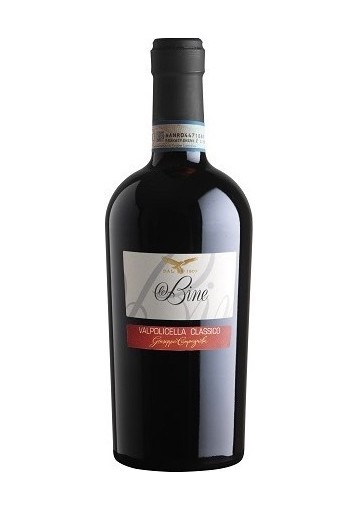 Giuseppe Campagnola Le Bine Valpolicella Classico 2014