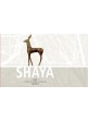 Shaya 2016