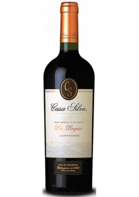 CASA SILVA CARMENERE LOS LINGUES