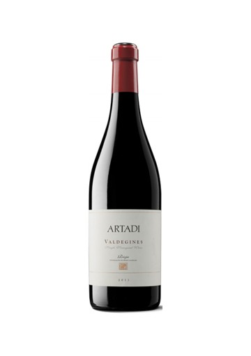 ARTADI VALDEGINÉS