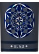 Blau 2013