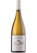 Zarate El Palomar 2016
