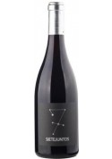 MicroBio Wines Sietejuntos Syrah 2014